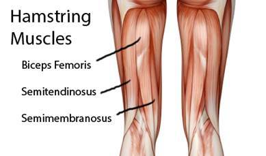 semimembranosus stretch